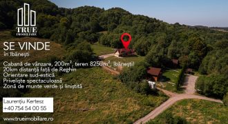 Cabană de vânzare, 200m², teren 8250m², Ibănești, Mureș!