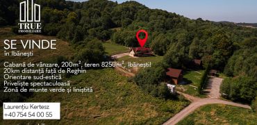 Cabană de vânzare, 200m², teren 8250m², Ibănești, Mureș!