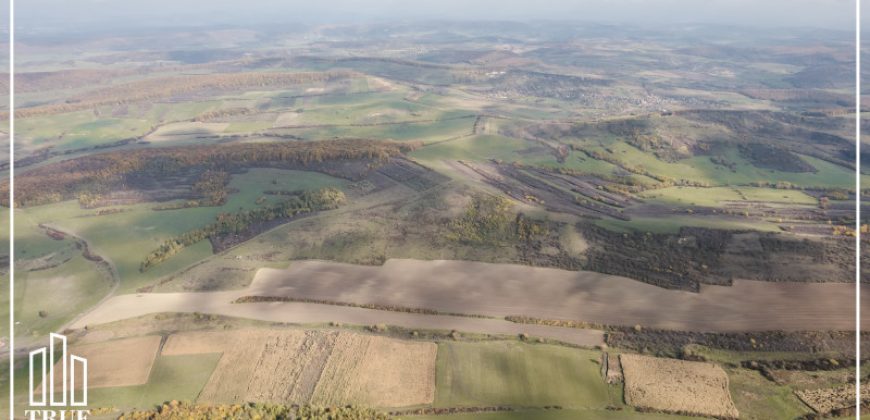 Teren extravilan 26.66 hectare, Sângeru de Pădure, Mureș!