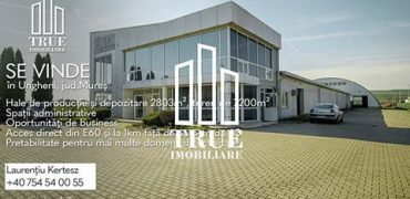Hale de producție și depozitare 2803m², teren 7200m², Ungheni, Mureș!