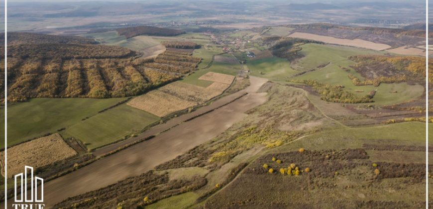Teren extravilan 26.66 hectare, Sângeru de Pădure, Mureș!