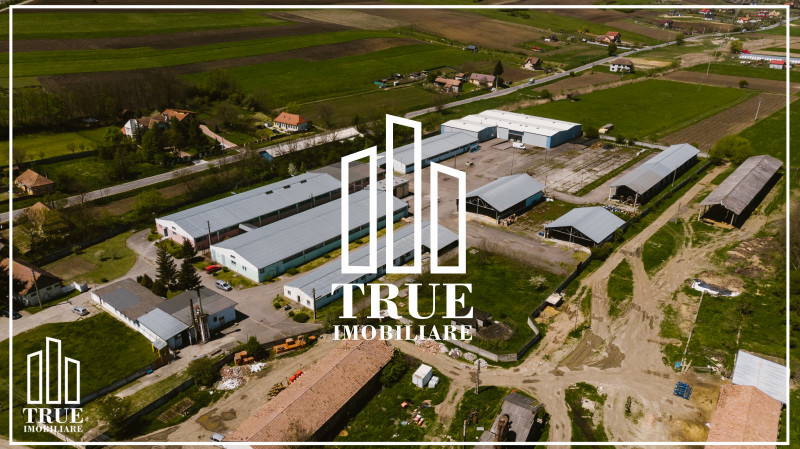Platformă industrială cu afacere la cheie, Voiniceni – Târgu Mureș!