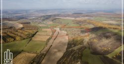 Teren extravilan 26.66 hectare, Sângeru de Pădure, Mureș!