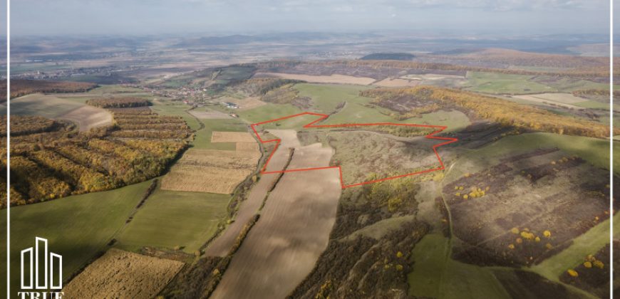 Teren extravilan 26.66 hectare, Sângeru de Pădure, Mureș!