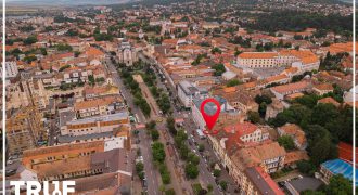 Spațiu comercial de închiriat – Ultracentral, Târgu Mureș