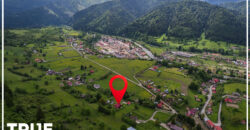 Cabană de vânzare, 150m², teren 4015m², Lunca Bradului!