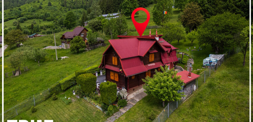 Cabană de vânzare, 150m², teren 4015m², Lunca Bradului!