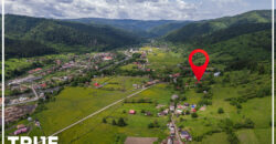 Cabană de vânzare, 150m², teren 4015m², Lunca Bradului!