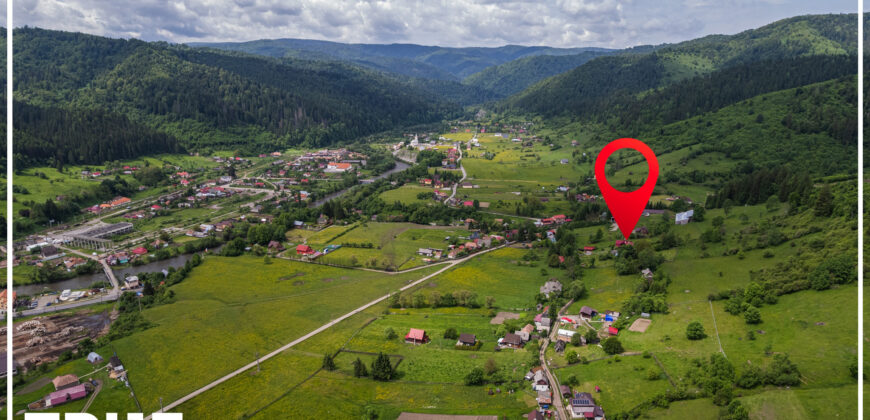 Cabană de vânzare, 150m², teren 4015m², Lunca Bradului!