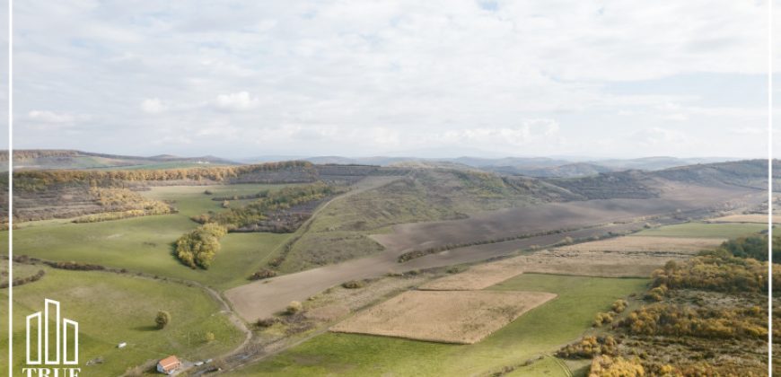Teren extravilan 26.66 hectare, Sângeru de Pădure, Mureș!