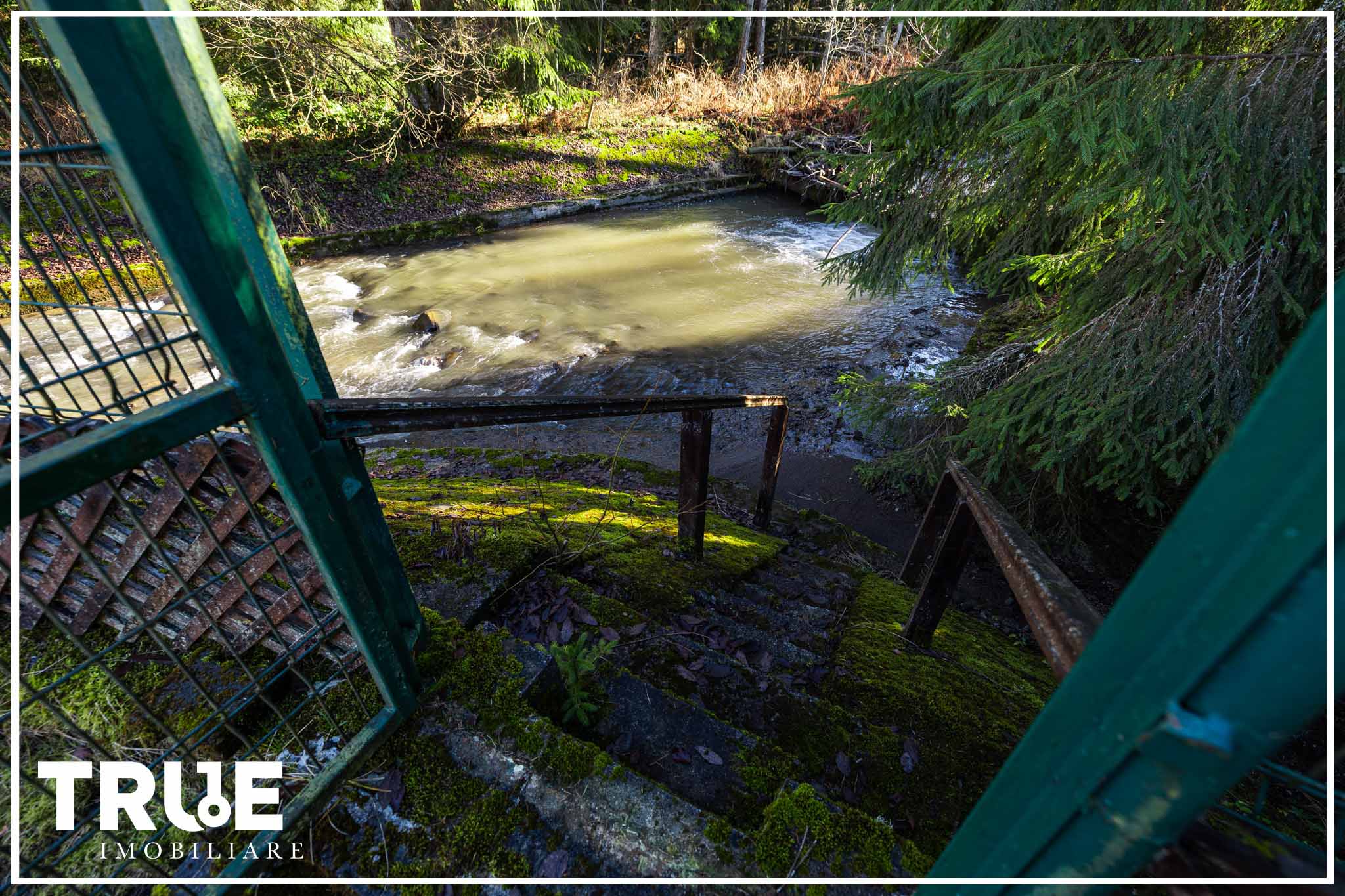 Cabană 210 m² + teren 1400 m² | Sălard, Mureș