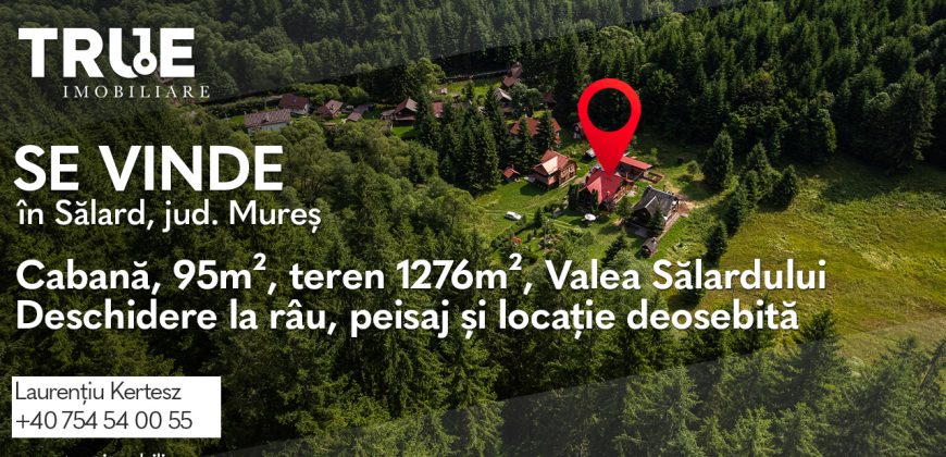 Cabană de vânzare, 95m², teren 1276m², Sălard!
