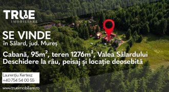 Cabană de vânzare, 95m², teren 1276m², Sălard!