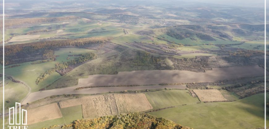 Teren extravilan 26.66 hectare, Sângeru de Pădure, Mureș!