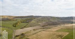 Teren extravilan 26.66 hectare, Sângeru de Pădure, Mureș!