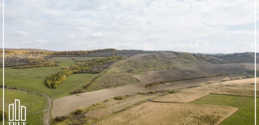 Teren extravilan 26.66 hectare, Sângeru de Pădure, Mureș!
