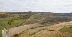 Teren extravilan 26.66 hectare, Sângeru de Pădure, Mureș!