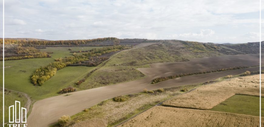 Teren extravilan 26.66 hectare, Sângeru de Pădure, Mureș!
