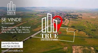 Teren extravilan de vânzare, 4.02ha – 40272m², Gornești!