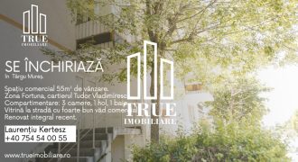 Spațiu comercial 55m², zona Fortuna, cartierul Tudor Vladimirescu!