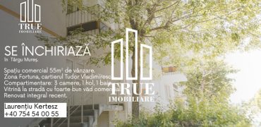 Spațiu comercial 55m², zona Fortuna, cartierul Tudor Vladimirescu!