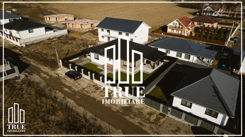 Teren 6000m² + casă de vânzare300 m² în Cristești la 250m de E60!