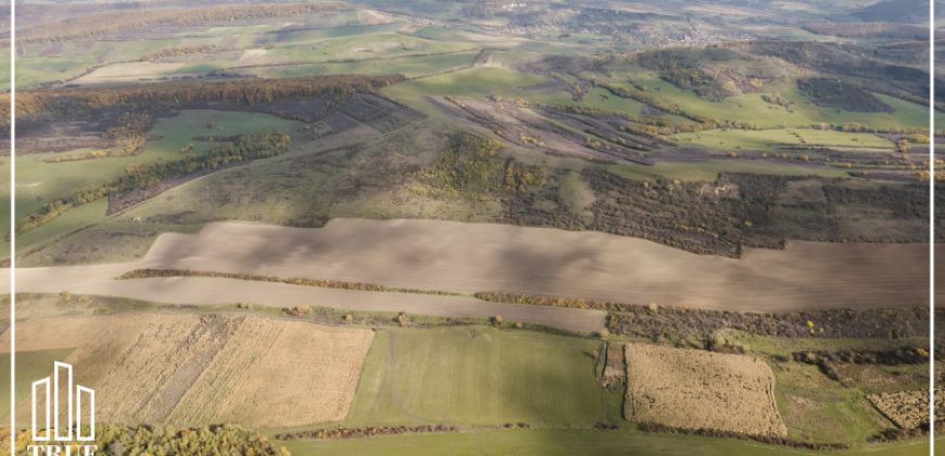 Teren extravilan 26.66 hectare, Sângeru de Pădure, Mureș!