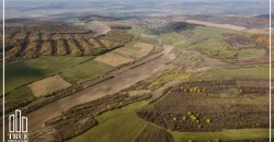 Teren extravilan 26.66 hectare, Sângeru de Pădure, Mureș!