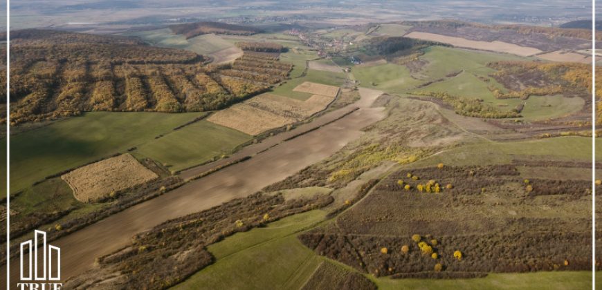 Teren extravilan 26.66 hectare, Sângeru de Pădure, Mureș!