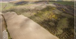 Teren extravilan 26.66 hectare, Sângeru de Pădure, Mureș!