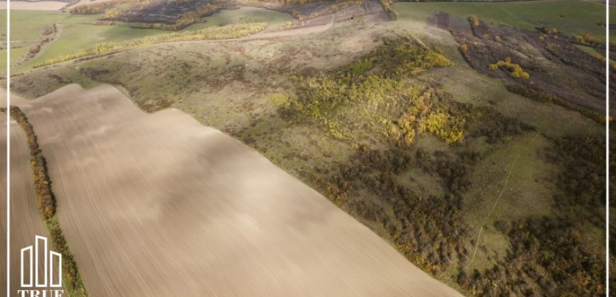 Teren extravilan 26.66 hectare, Sângeru de Pădure, Mureș!