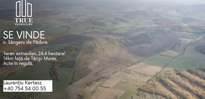 Teren extravilan 26.66 hectare, Sângeru de Pădure, Mureș!