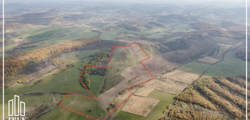 Teren extravilan 26.66 hectare, Sângeru de Pădure, Mureș!